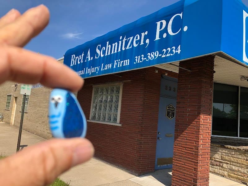SCHNITZERLAW